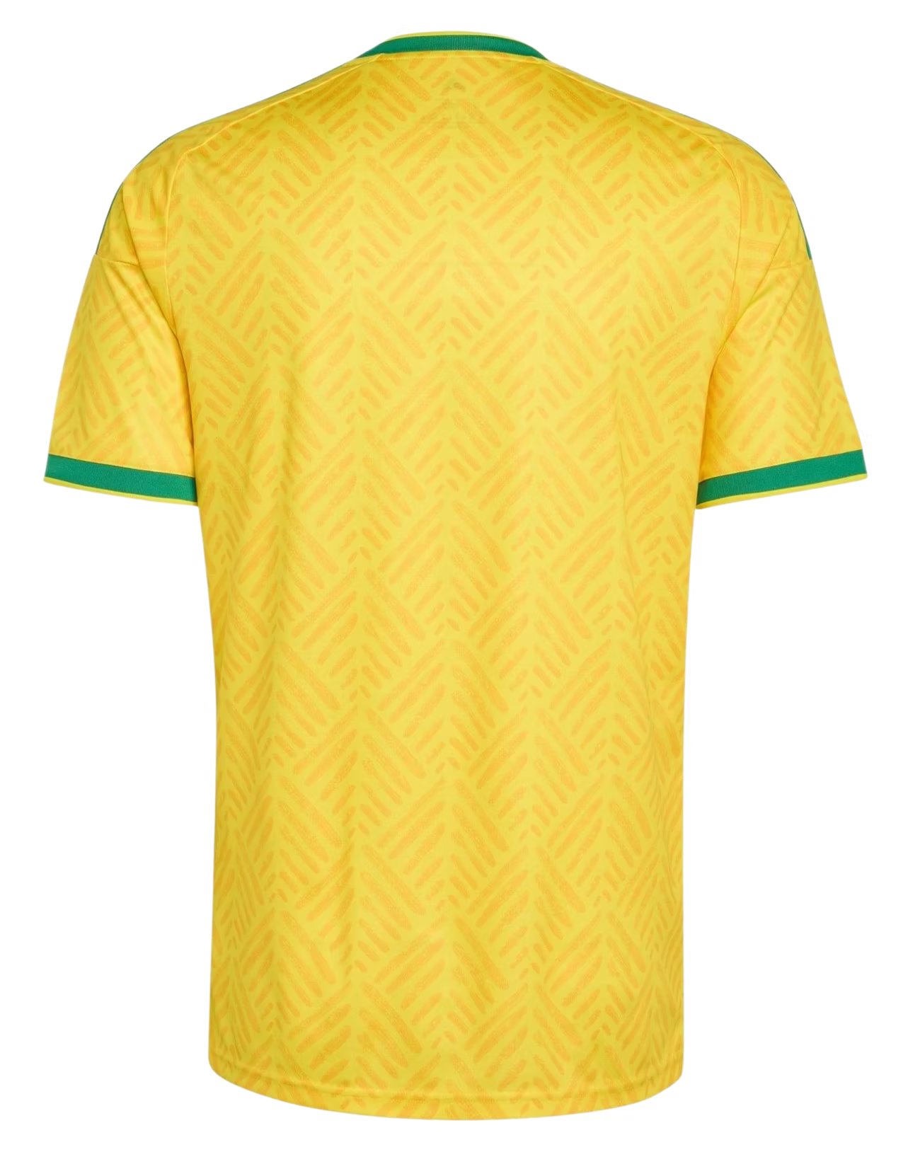 AFRIQUE DU SUD