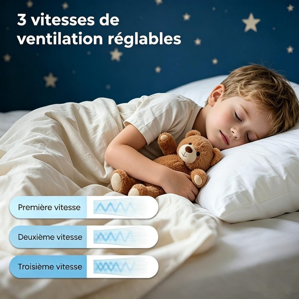Ventilateur de Plafond avec Lumière LED
