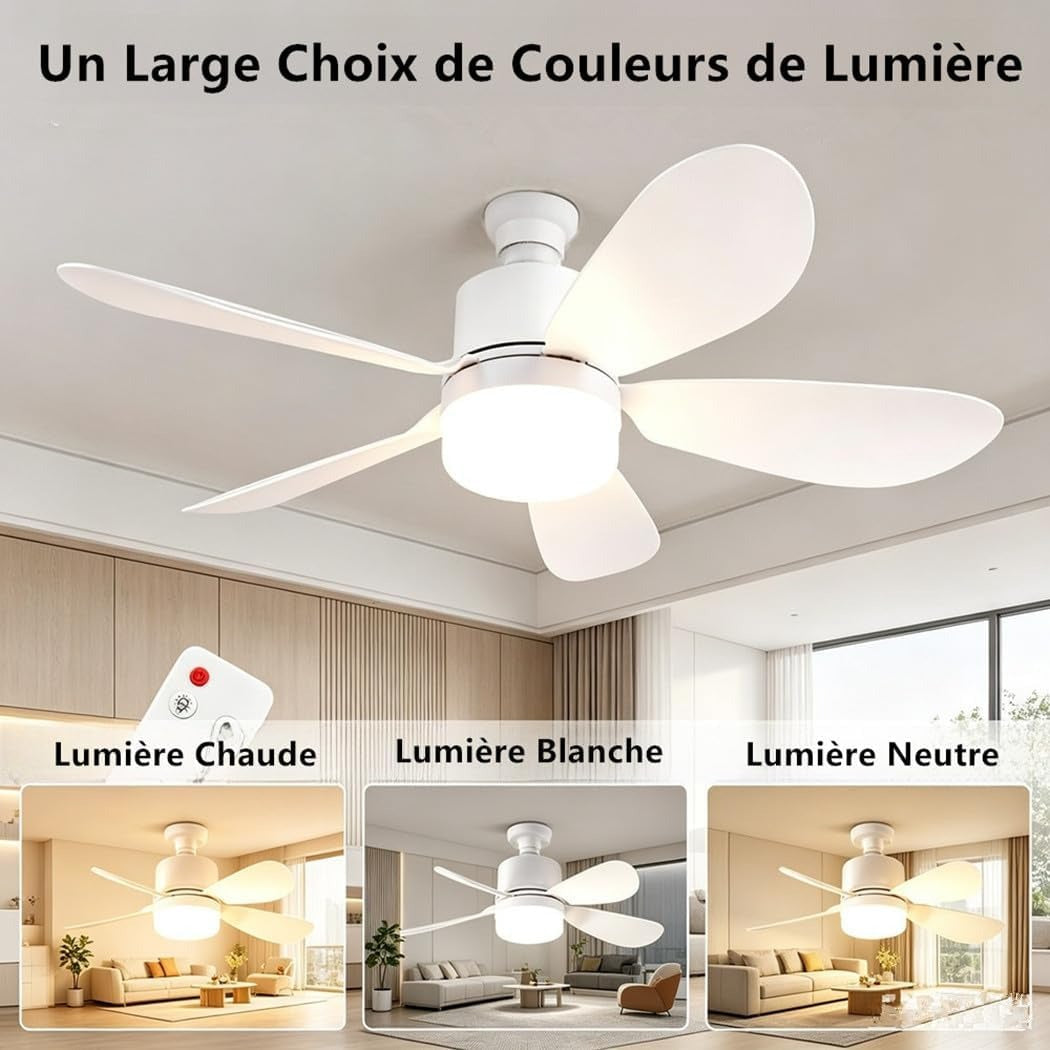 Ventilateur de Plafond avec Lumière LED